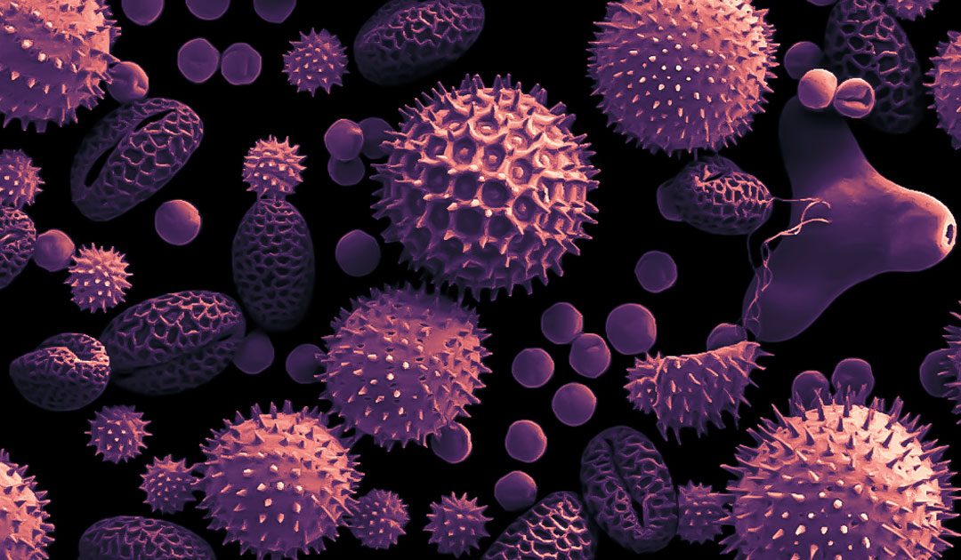 An “elixir” that will surely put an end to HIV.