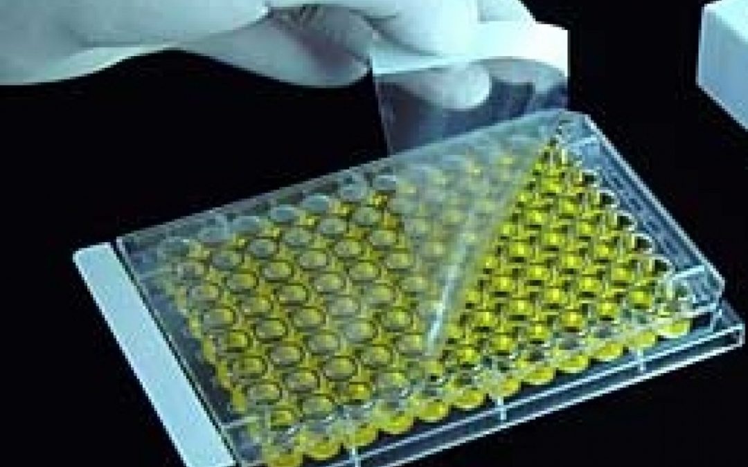 Vaccines: The most effective way to ultimately end new HIV infections.